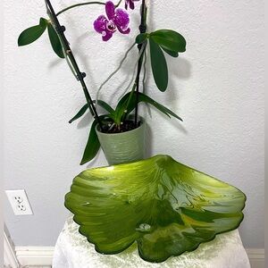 Beautiful decorative bowl seashell shaped in green .